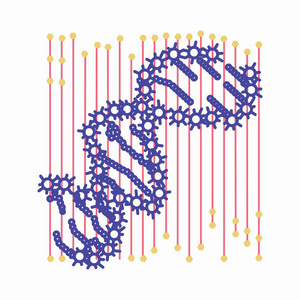 制造与抽象部分的 Dna 细胞