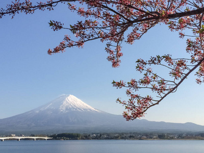 河口湖湖山梨日本富士山