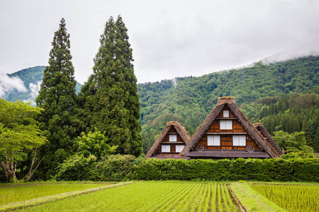 日本白川乡的传统和历史的日本村落, 白川乡因其传统的合掌zukuri 房屋而被列入联合国教科文组织世界遗产名录。