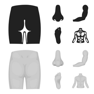 臀部, 鼻子, 胳膊, 脚。部分身体集合图标的黑色, 单色风格矢量符号股票插画网站