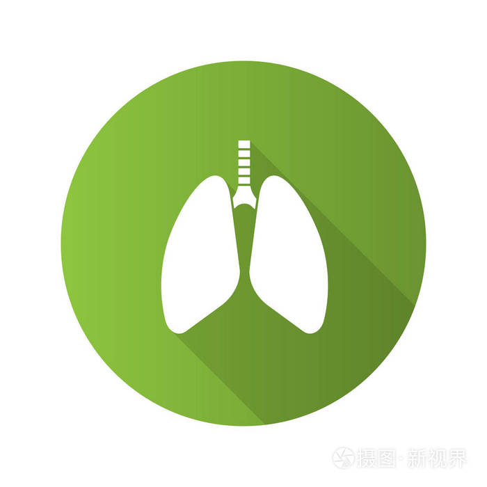 人肺平面设计长阴影字形图标.呼吸系统解剖学.矢量剪影插图