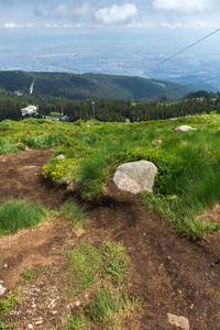位于保加利亚索非亚 Vitosha 山的绿色丘陵全景