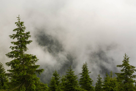 在欧洲阿尔卑斯山的夏季风景, 与戏剧性的雾云