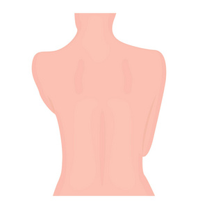 女性身体背面表示女性背部图标