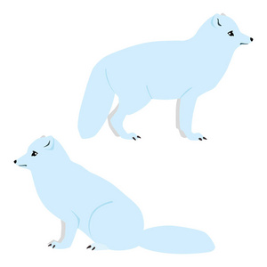 站立和坐可爱的北极狐狸的向量例证在白色背景被隔绝了