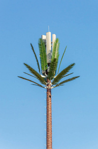Gsm 棕榈树天线