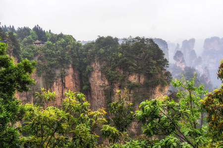 高大的山峰的袁家界