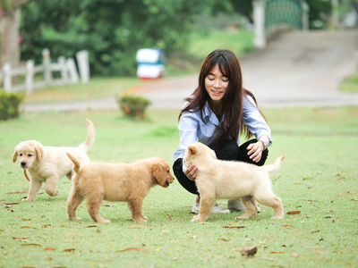 美丽的年轻亚洲妇女玩一个可爱的金色猎犬狗在公园