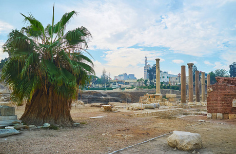 沿着古罗马街的 Dikka 考古遗址, 在高大的柱子和郁郁葱葱的棕榈树, 埃及亚历山大