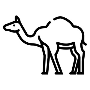 骆驼线例证