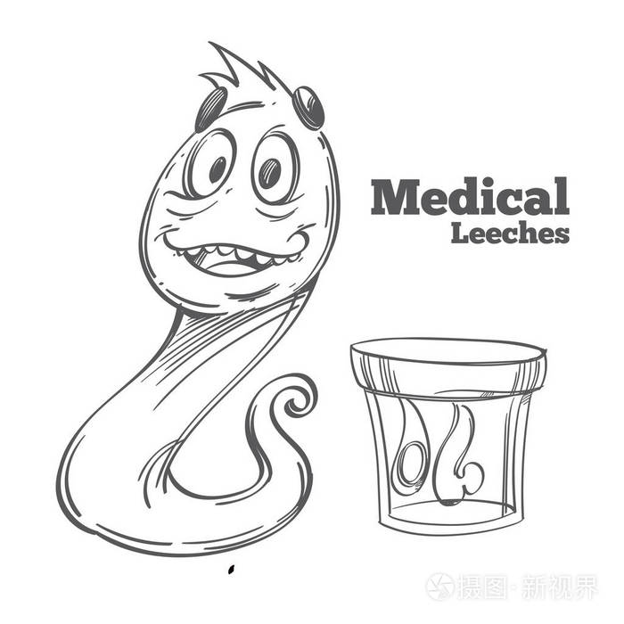 医疗水蛭 hirudotherapy 在白色背景下被隔绝插画-正版商用图片0qc1