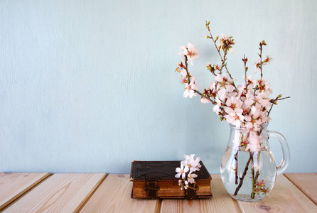 顶视图的春天白色的樱花树形象图片