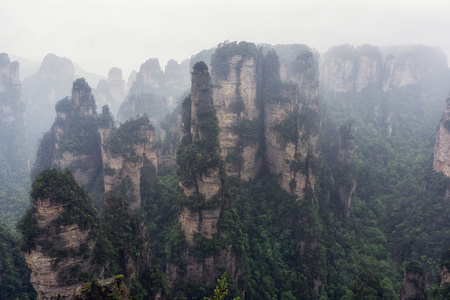 高大的山峰的袁家界