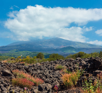 查看从脚夏天埃特纳火山山，西西里岛，意大利