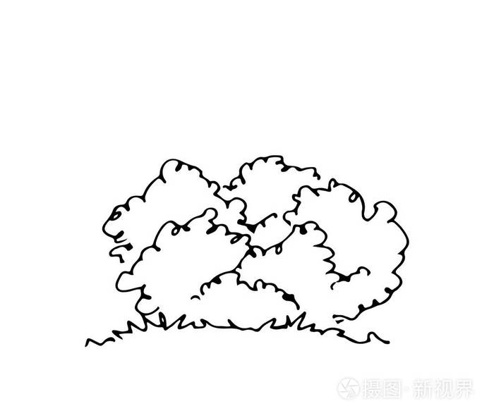 手绘建筑师灌木 矢量素描 建筑插图