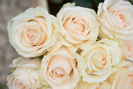 粉红玫瑰装饰。粉红玫瑰的香味。婚礼插花