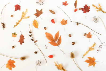 秋季作文背景。框架图案由秋天的树叶, 橡子在白色的背景。顶部视图。复制空间。平躺