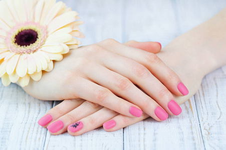 粉红色的指甲和微妙的雏菊花