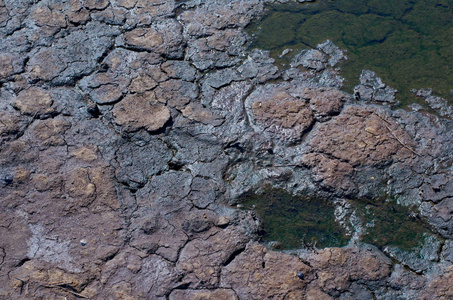 在沙漠，生态灾难和灾难的概念裂干燥土壤上的肮脏小水坑