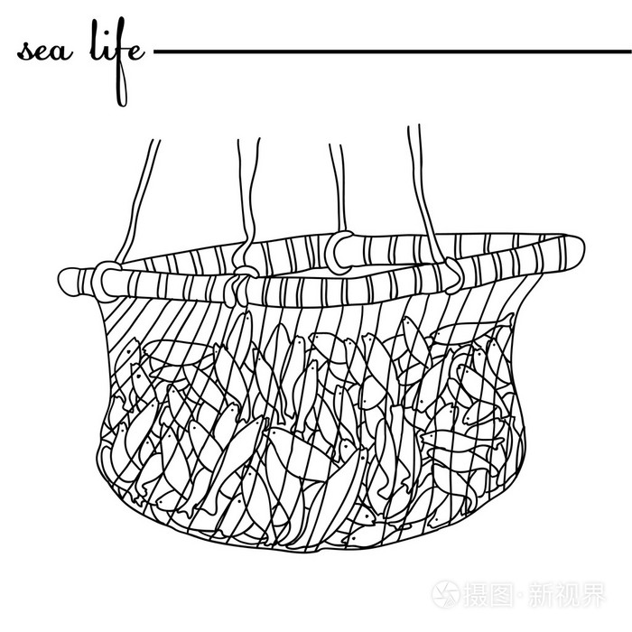 在网鱼.原始的涂鸦手绘插画.轮廓矢量