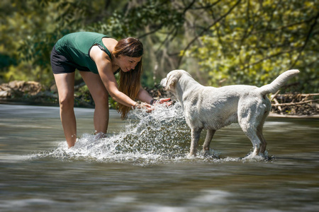 年轻可爱的快乐拉布拉多猎犬犬狗的肖像在大自然中被女人沐浴在河里