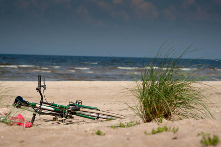 绿色植物自行车铺设在海滨沙滩上, 背景为海