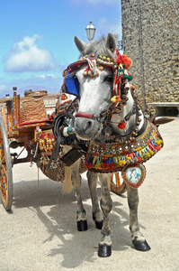 西西里的传统小马和马车