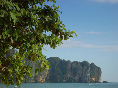 泰国的海滩景观