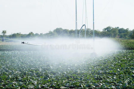 喷雾 灌溉 机器 金属 夏天 食物 工具 农事 收获 枢轴