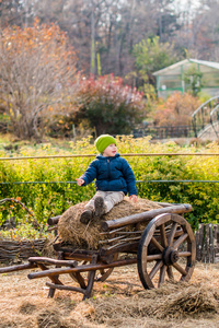 男孩坐在一辆老式的木制马车