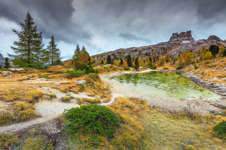 壮观的秋天风景, 高山冰川湖并且黄色松树, Limides 湖以高山山顶在背景, 白云岩, 意大利, 欧洲