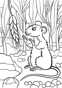 可爱的小老鼠看着小麦片
