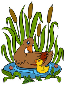 鸭妈妈用她小小的可爱小鸭在池塘里游泳。他们的微笑和快乐