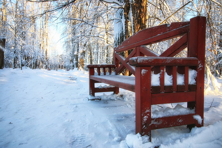 冬天的木凳