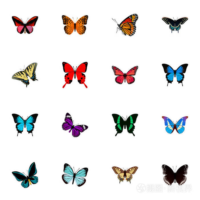 蝴蝶现实符号集还包括 bluewing,hypolimnas,天空对象