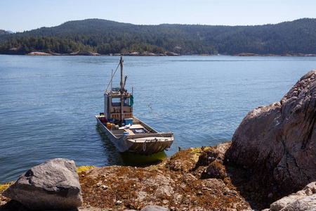 在一个充满阳光的夏日里, 在一个岛屿上停泊的牡蛎收割船。在格鲁吉亚海峡附近的鲍威尔河, 加拿大公元前