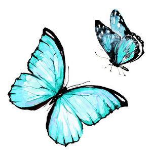 美丽的蝴蝶, 水彩, 孤立的白色