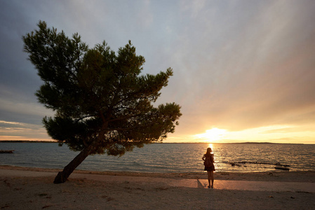 后视图剪影苗条的女人在短礼服和背包站在附近的大树在水边, 享受美丽的海景日落。旅游度假理念