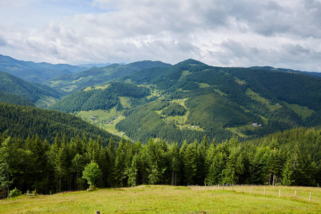 云下的风景和雾在罗马尼亚山区森林所覆盖的山丘