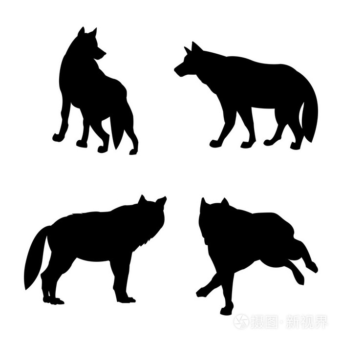 野生动物,矢量图