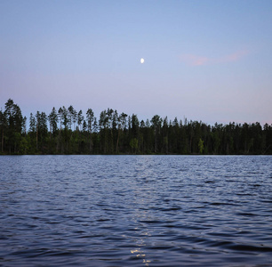 月亮在湖面和松树林中升起。波浪水面上的月光反射