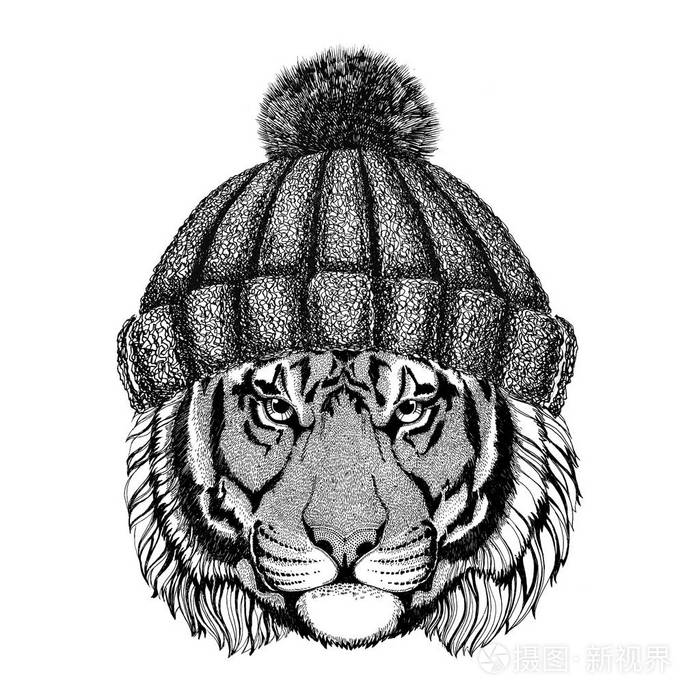 野生老虎戴针织帽子时髦动物图纹身 标志 徽章,徽章设计