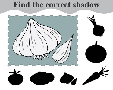 找到正确的大蒜阴影。教育。游戏的孩子。矢量插图