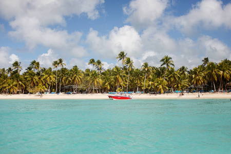 异国风情海岸的多米尼加共和国与异国风情的棕榈树在金色的沙滩上
