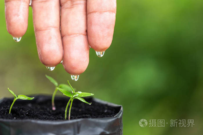 宏手用水滴向年轻的塑料袋浇水.自然与环境概念照片-0