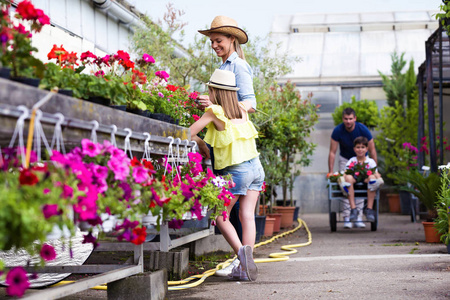 拍摄美丽的男孩和她的父亲运输花, 而女孩与她的母亲在温室浇水植物