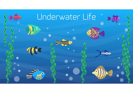 水下世界。可爱的卡通多彩不同鱼