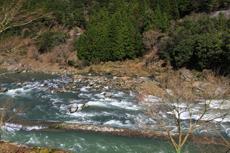 在京都岚山河外训练