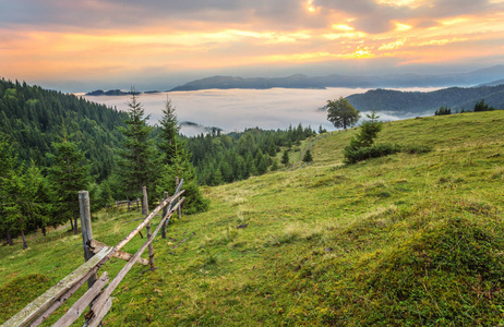 山中美丽的夏天风景