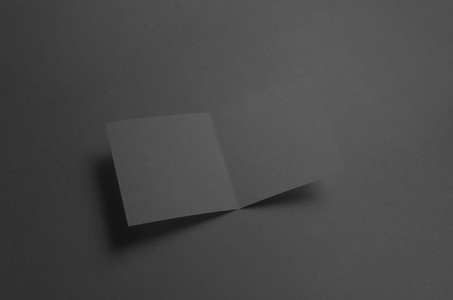 黑方双折叠小册子模拟图片